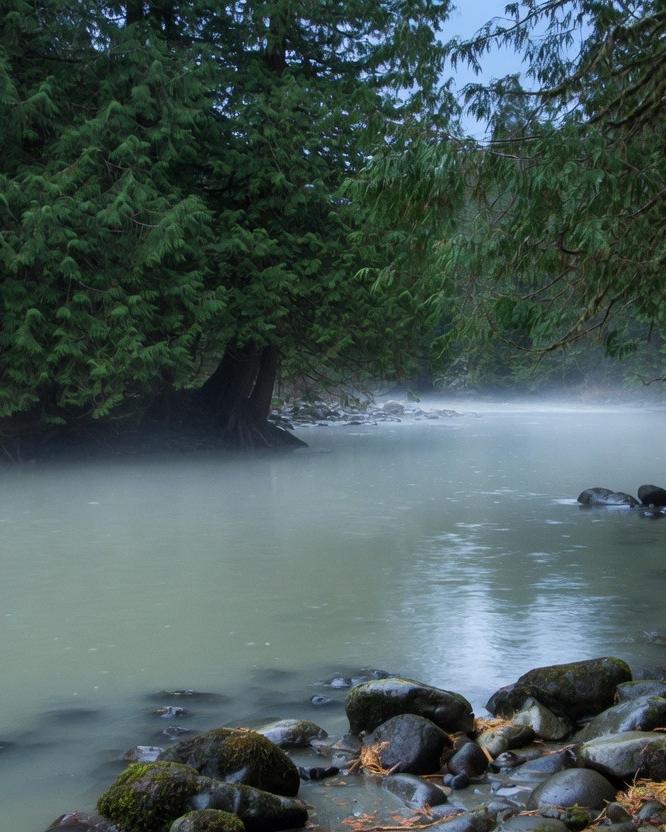 Mist on a cedar river