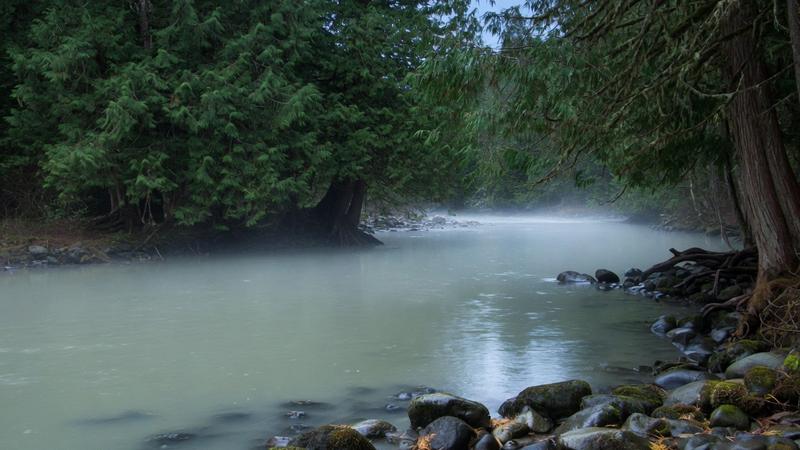 Mist on a cedar river