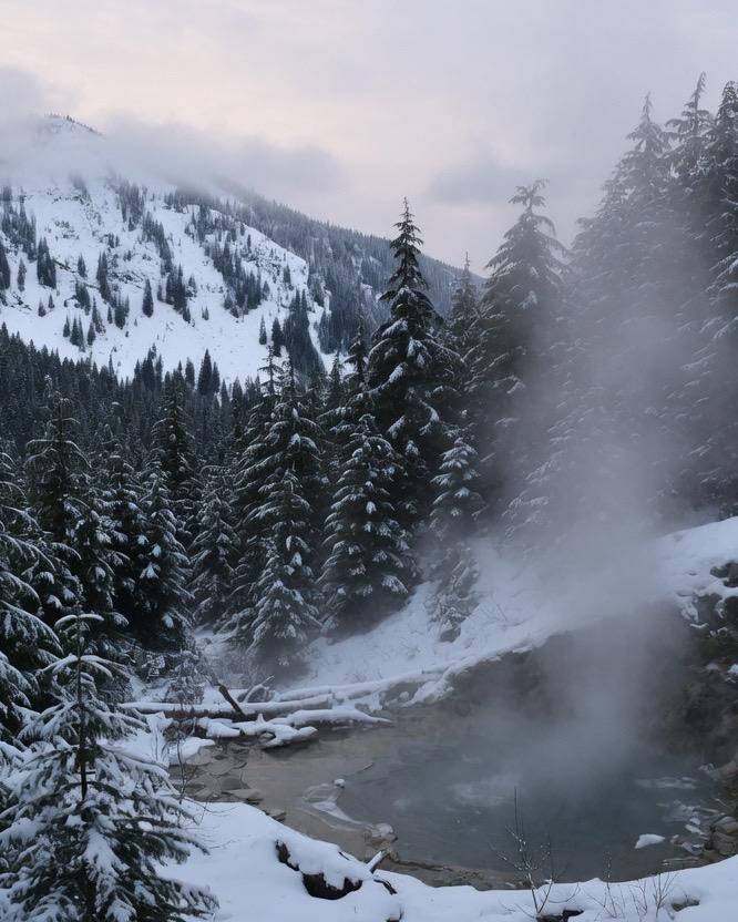 Steam over a snow forest